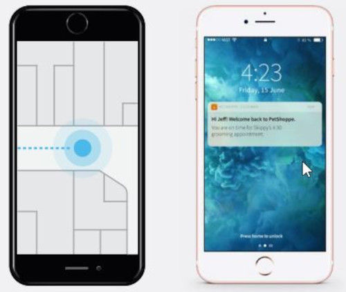 Juniper Mist Mobile Engagement