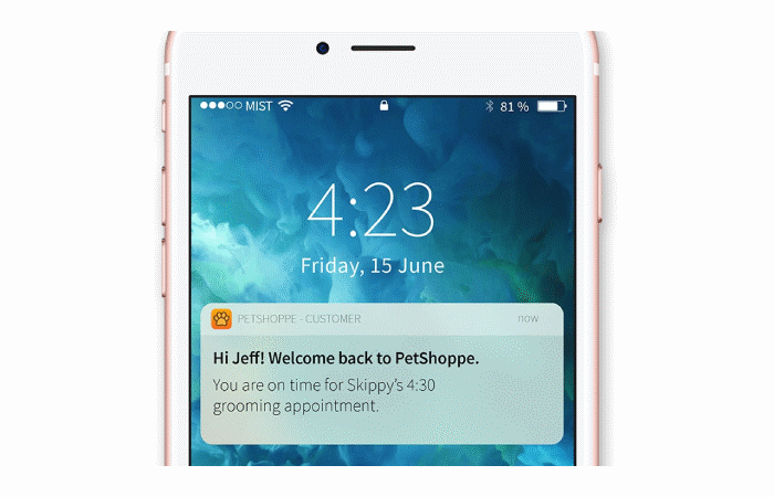 Figure 6: Proximity notification to mobile phone