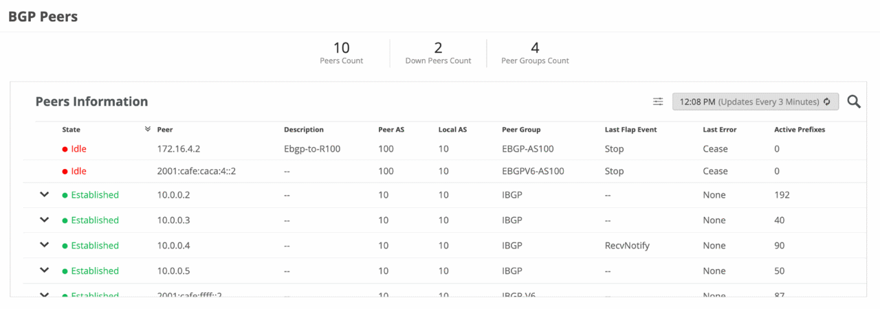 Figure 6: BGP Peer View