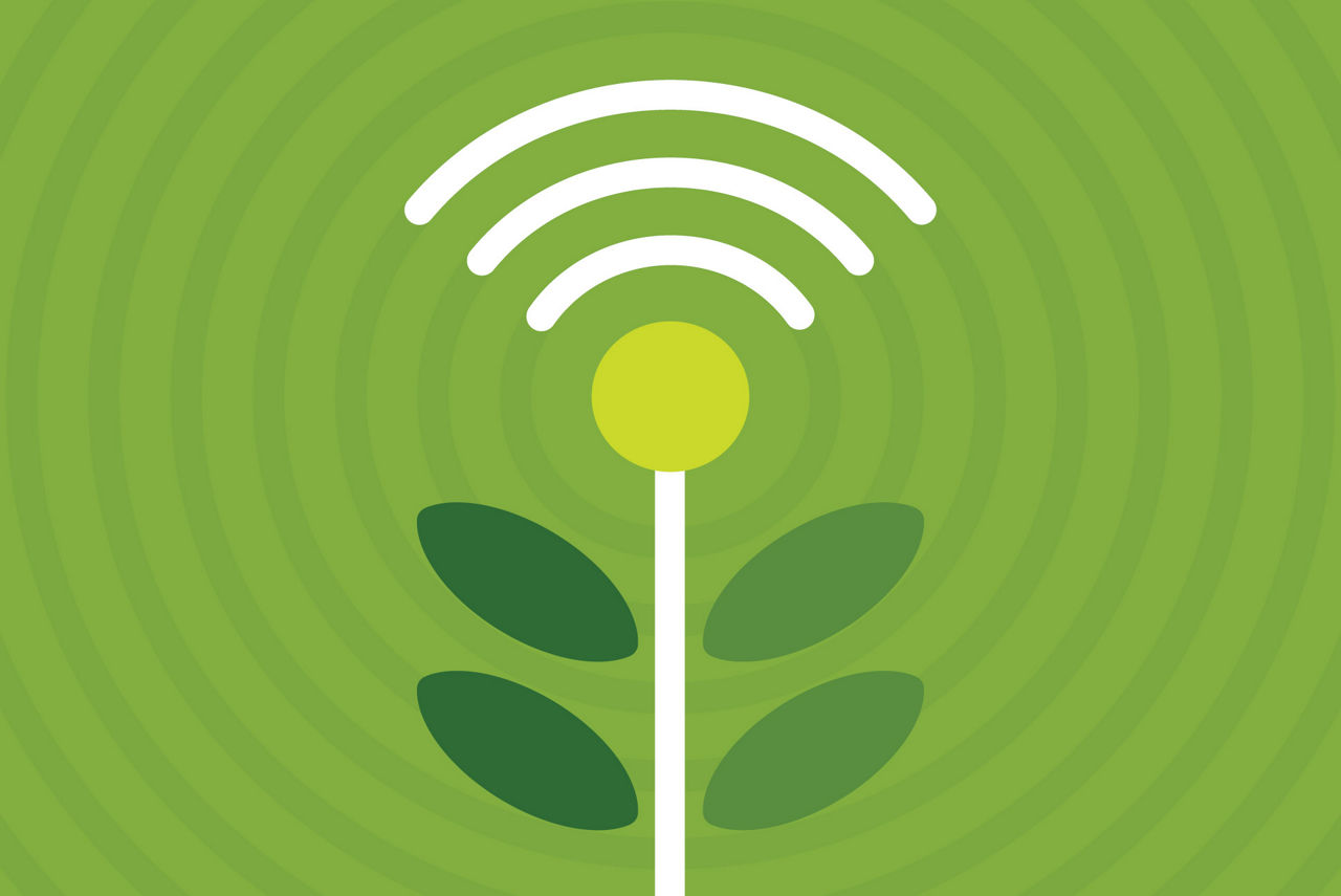 Circular green, white, and yellow graphic representing Earth and its environment in relation to climate change.