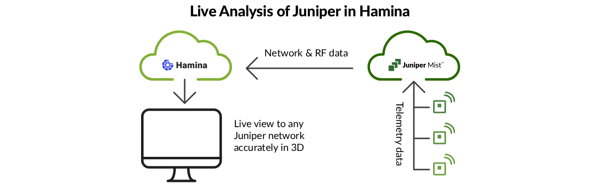 Live Analysis of Juniper in Hamina