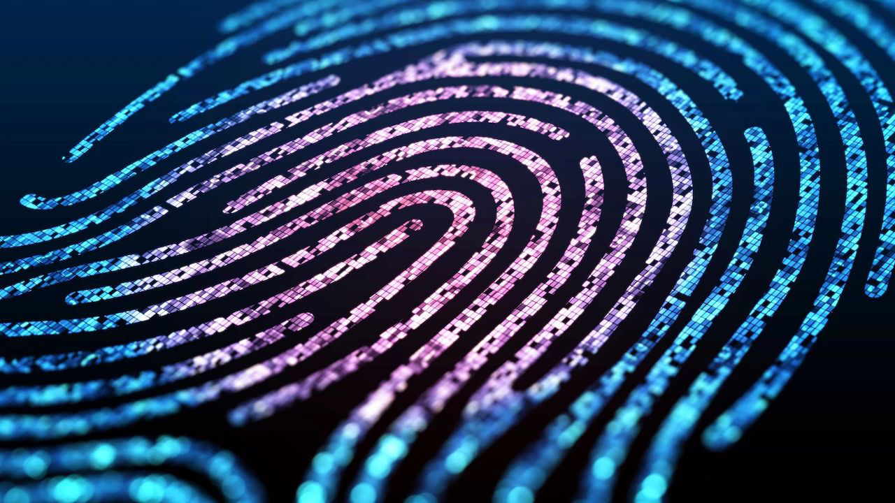 Illuminated digital fingerprint