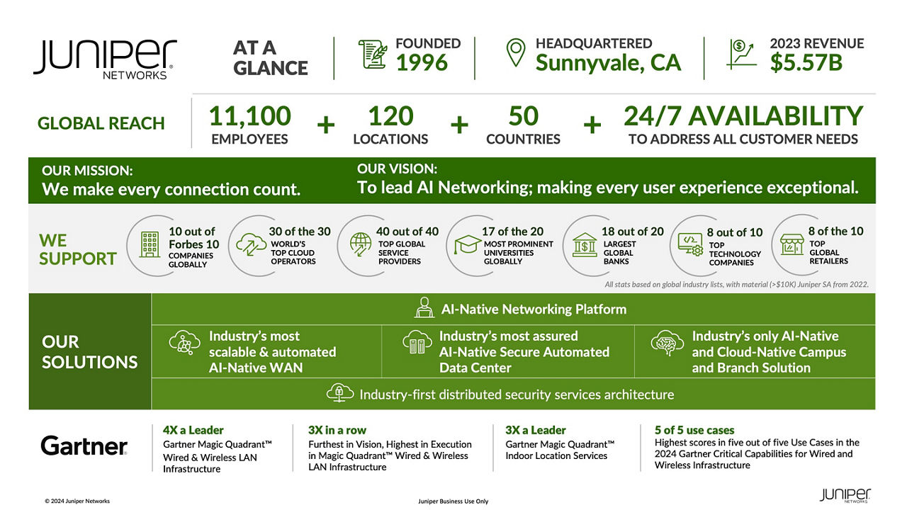 Company Vision Infographic at a Glance 2024
