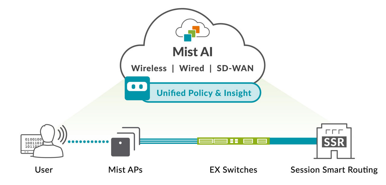 What is SD-Branch Diagram 2