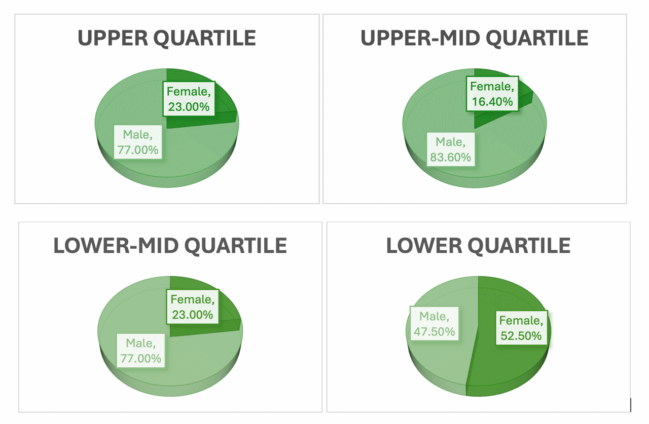 Gender Pay Gap Quartile