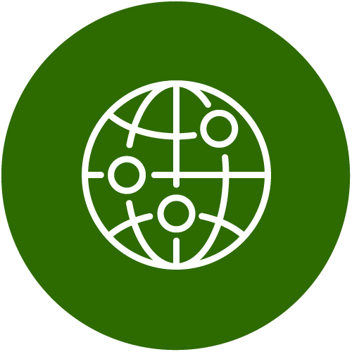 Globe icon
