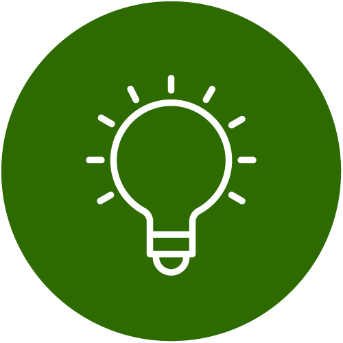 Lightbulb icon