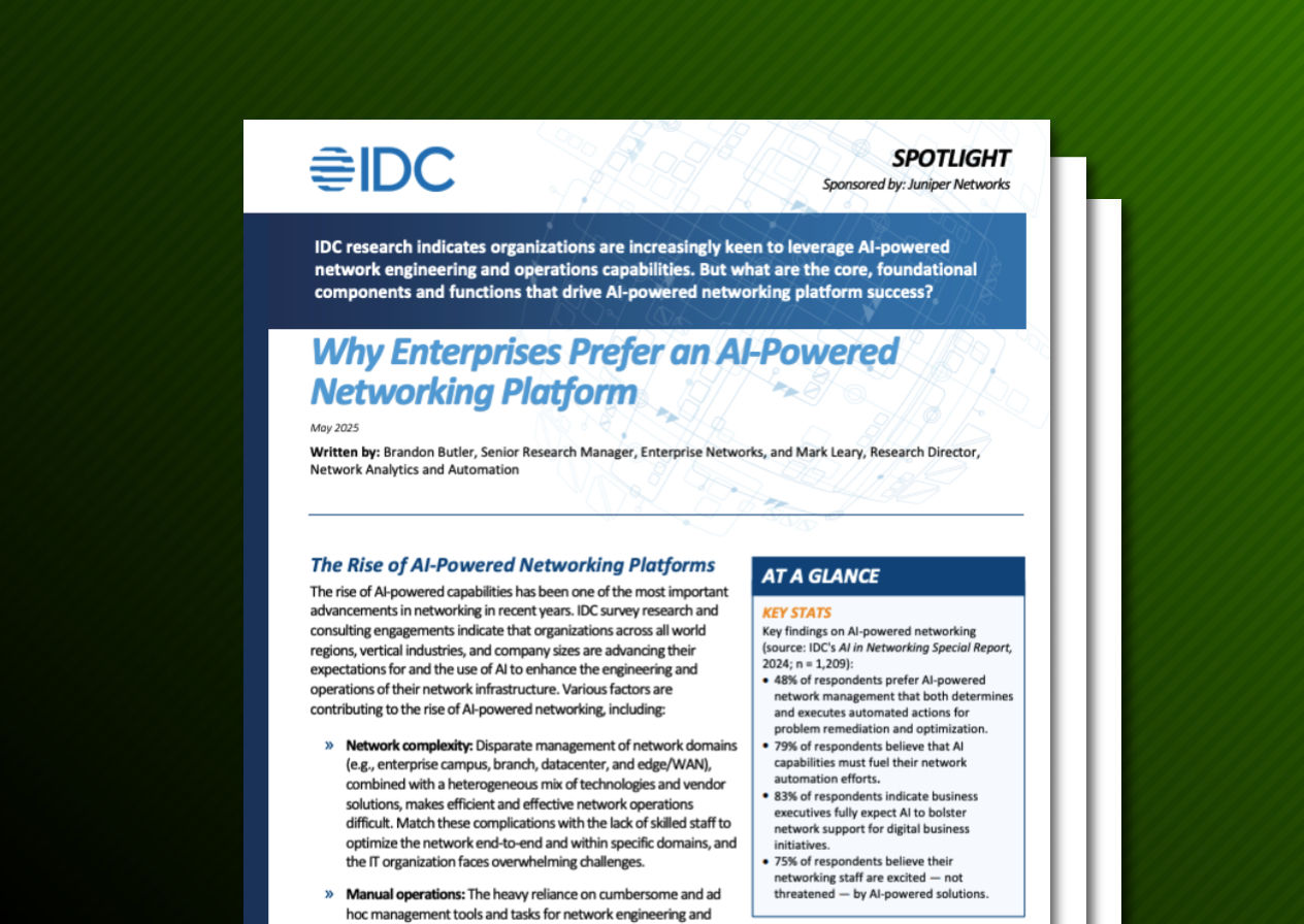 Why Enterprises Prefer AI in Networking, a White Paper